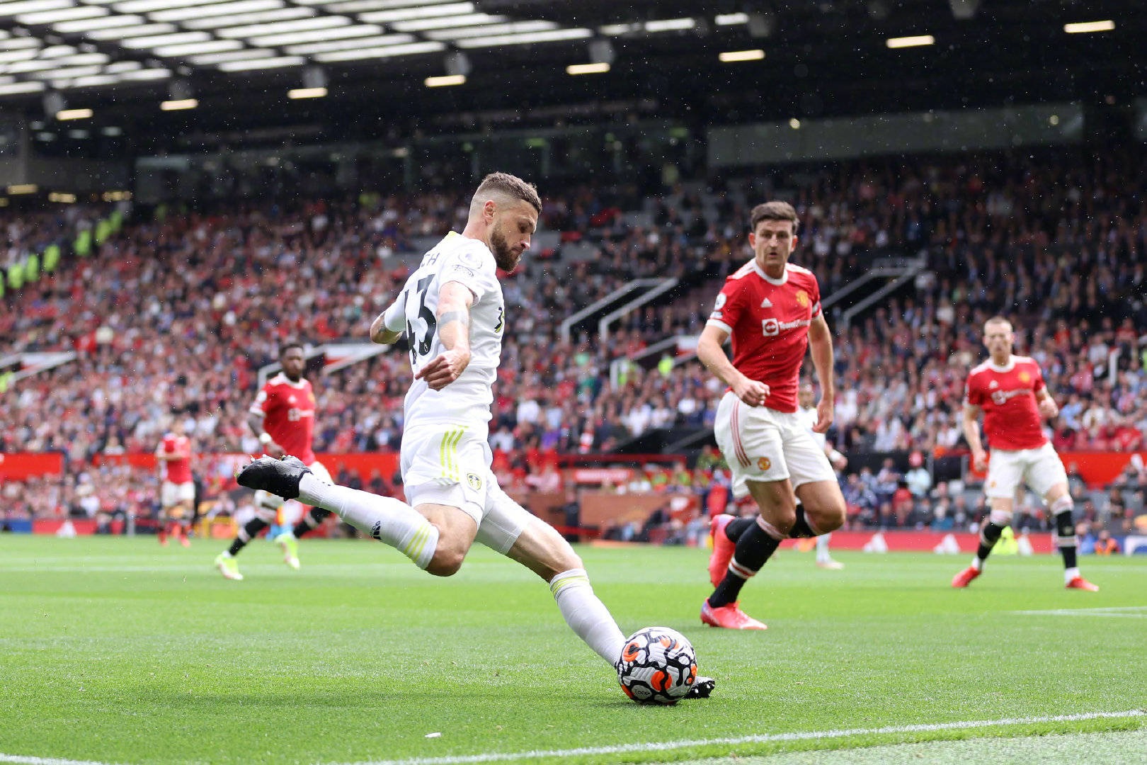 这些条件 这些条件